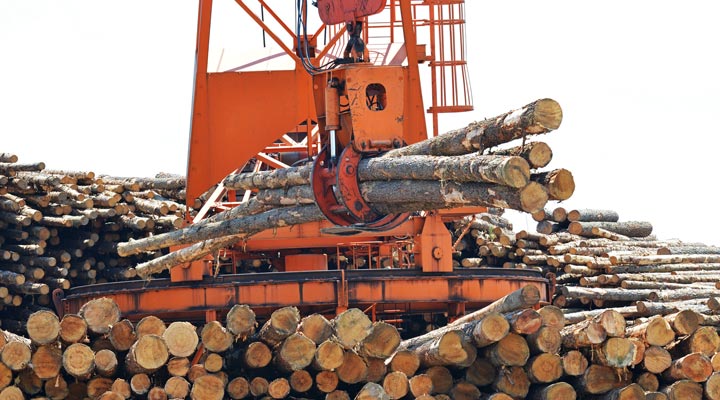 logging claw grasping tree logs in mill