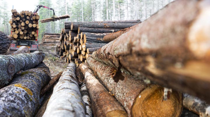 logging claw loading logs into truck