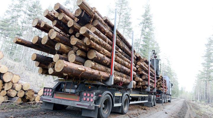 log truck preparing to leave forest loaded with logs