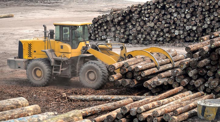 logging truck stacking tree logs